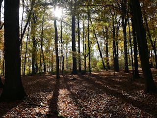 Herbstwanderung 2012